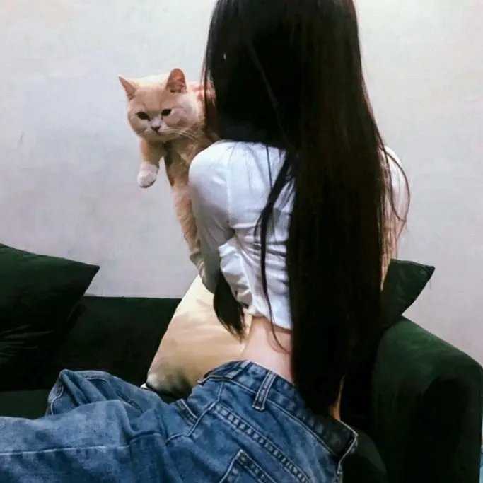 小莫莉大冒险